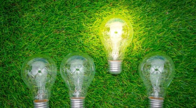 A biomassa é uma matéria orgânica concentrada de origem vegetal ou animal.