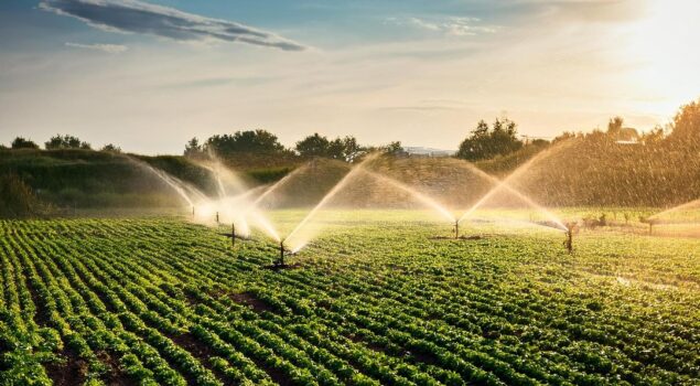 energia-no-agro-irrigacao-24-7-producao-sem-falhas